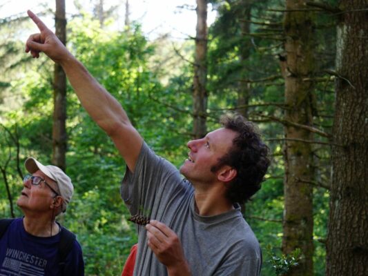 SEVE_06_10_NuitdesForêts_@PaulineHenry (30)_web