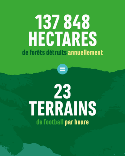 Rapport EF 2025_Post Insta_Linkedin 23 terrains de footballs déforestés par heure